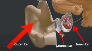 Our Hearing Process