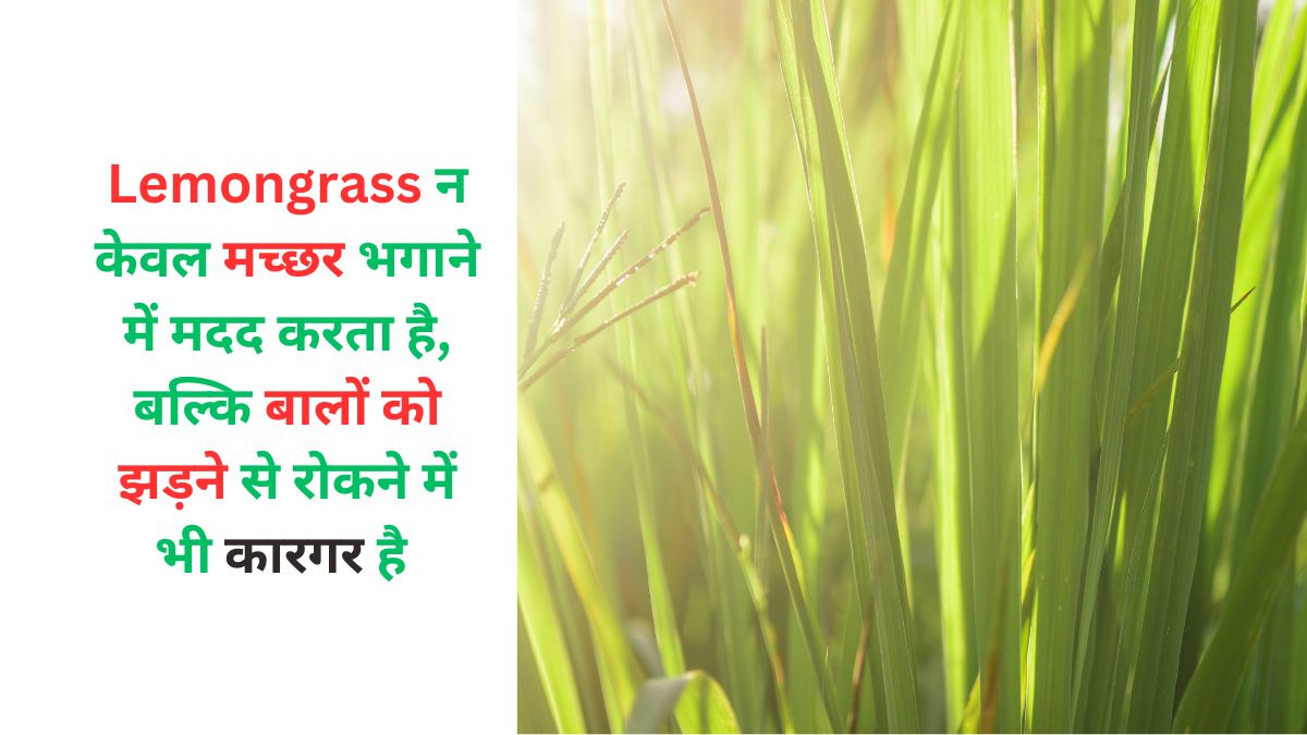 Benefits of Lemongrass