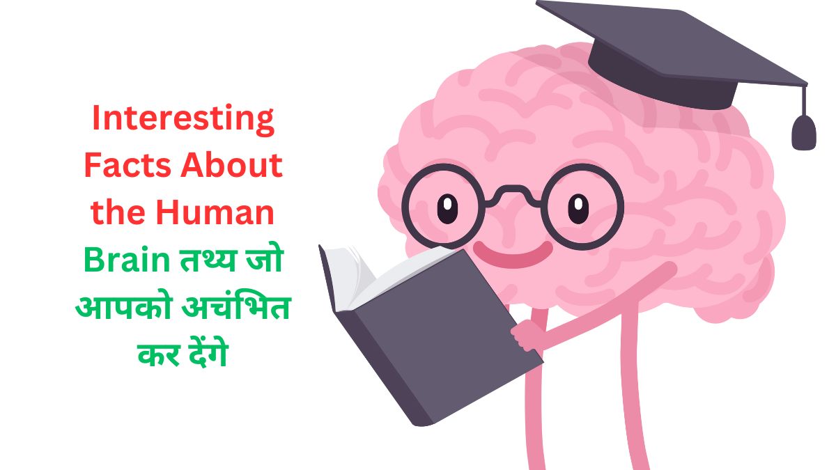 Interesting facts about the Human Brain