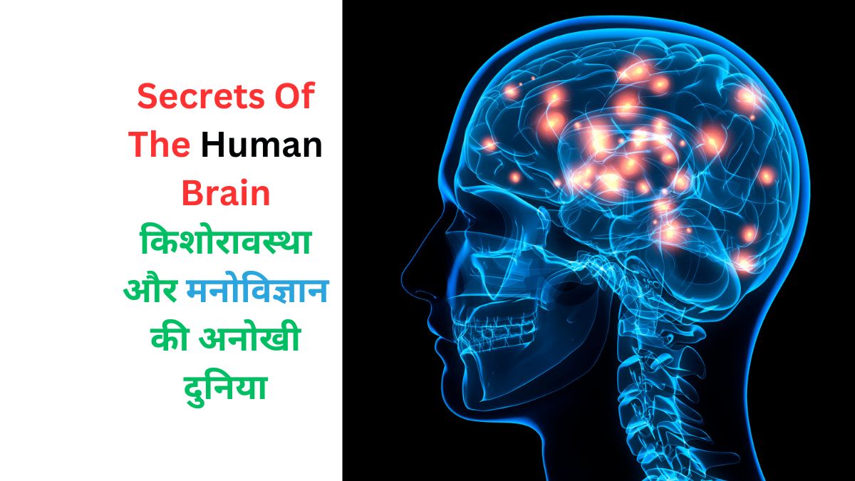 Secrets Of The Human Brain