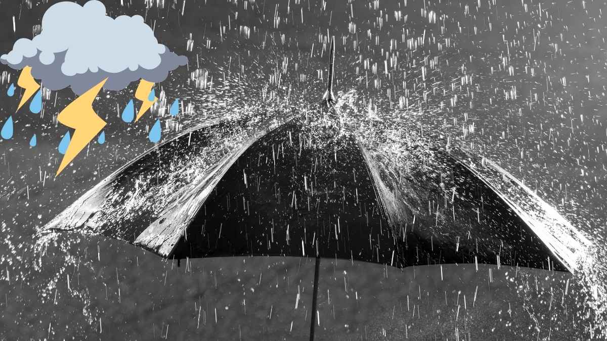 Heavy Rain Alert